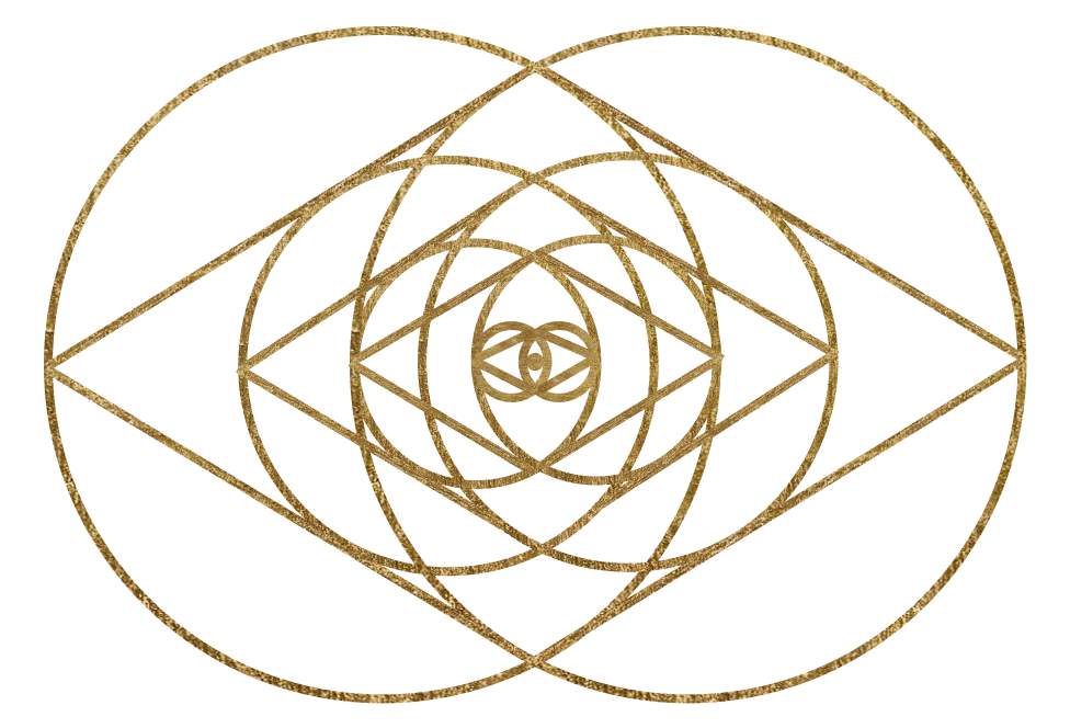 instinct-lab-logo-icon